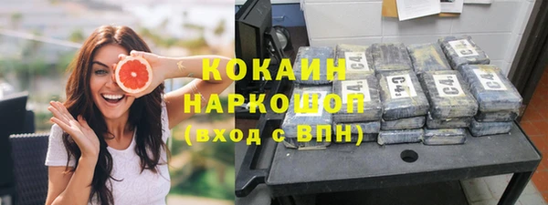 mdpv Богородск